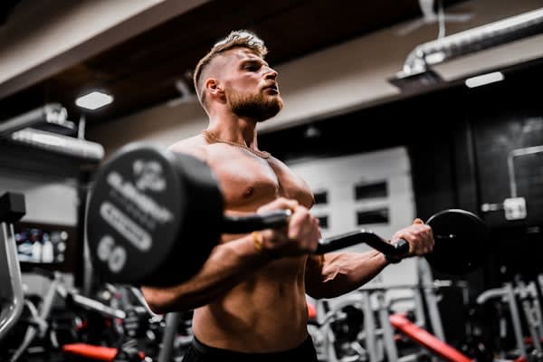 Muscle Gain